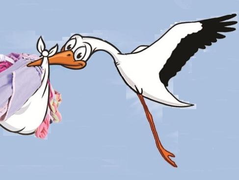 ����� ������ �����