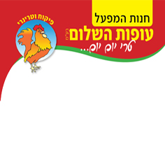 ����� �����