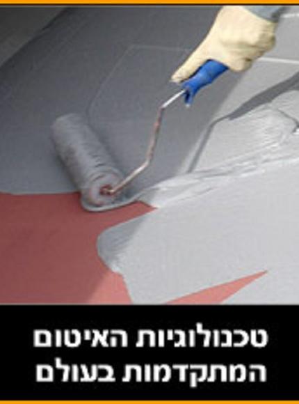 ���� �������