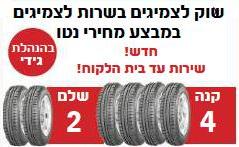 ���� �������